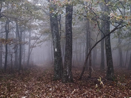 The Spirit of the Appalachian Trail
