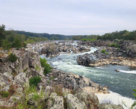Great Falls: Your Local National Park