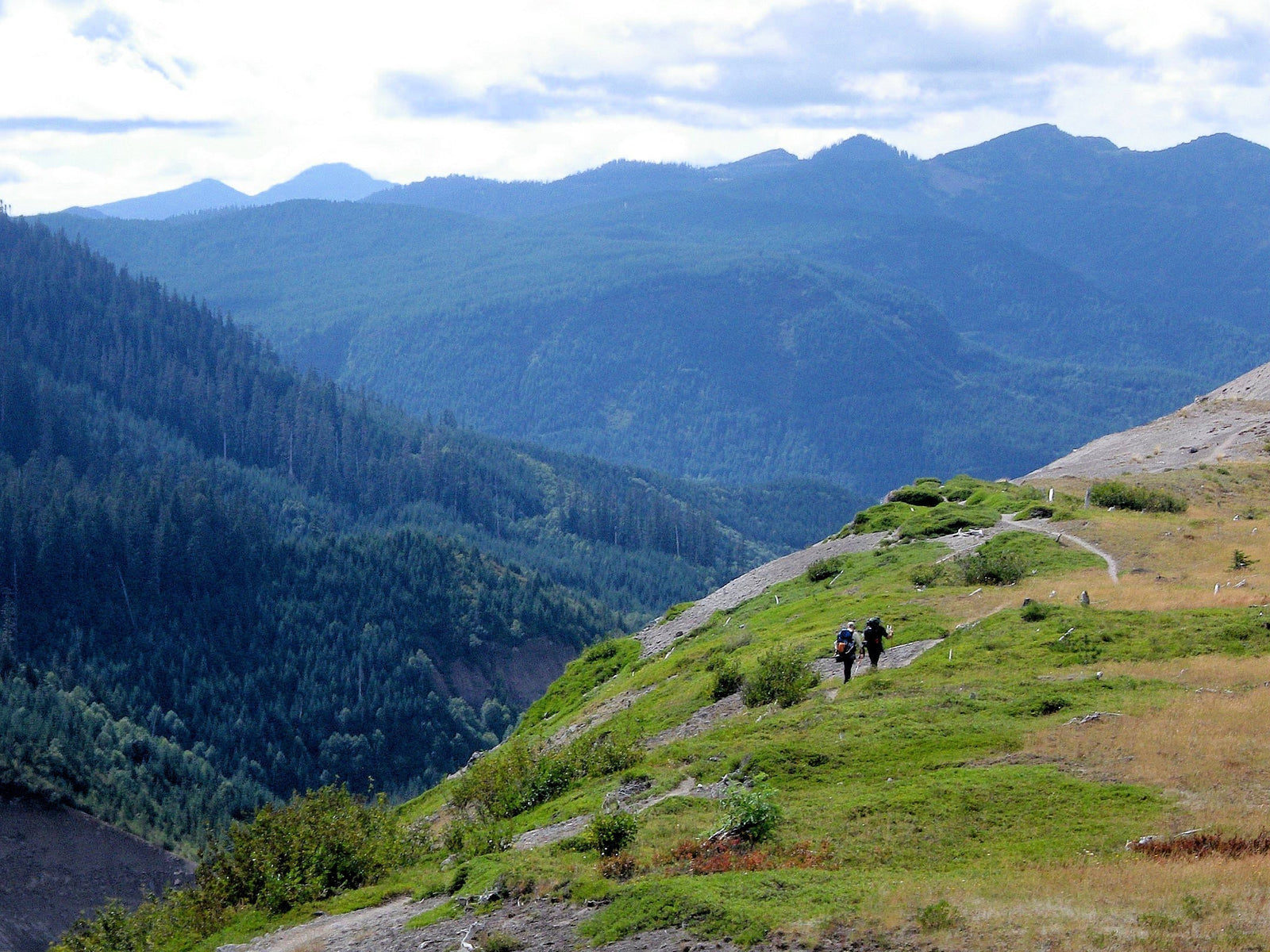 New Year, New Adventures