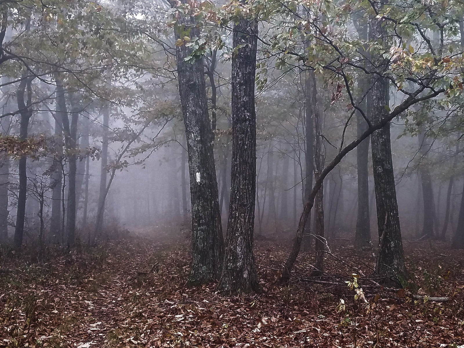 The Spirit of the Appalachian Trail
