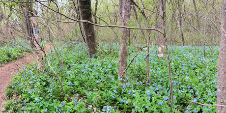 Riverbend Park