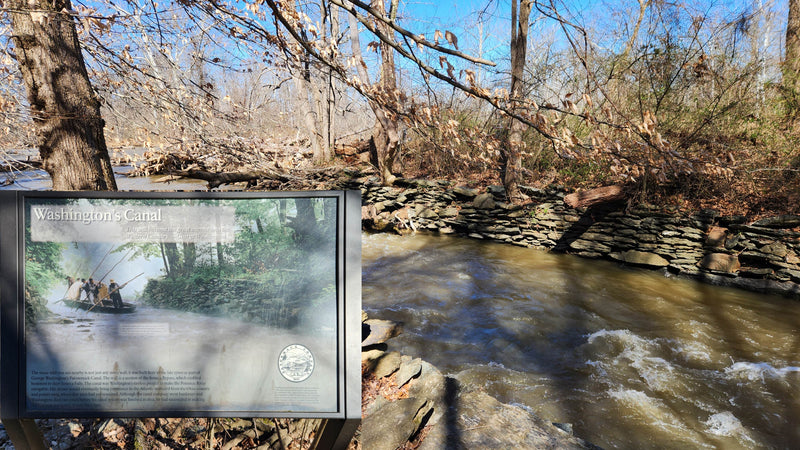 Advice from a Naturalist: Winter Hiking on the Potomac Heritage Trail!